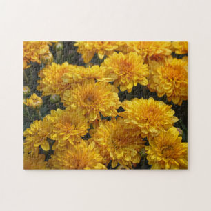 Gelbe Chrysanthemen Blumen Garten Puzzle