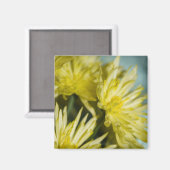 Gelbe Chrysanthemen Magnet (Vorderseite/Rückseite)