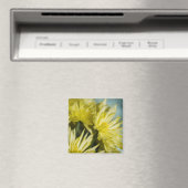 Gelbe Chrysanthemen Magnet (In Situ (Geschirrspüler))