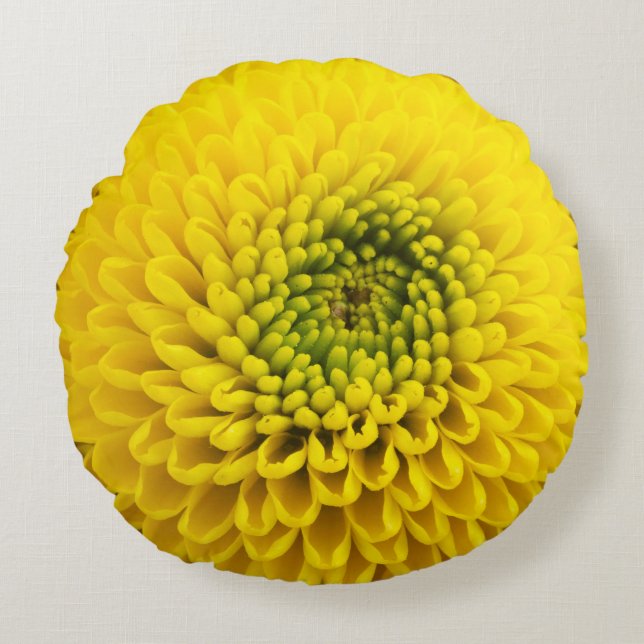 Gelbe Chrysanthemum-Blume Rundes Kissen (Vorderseite)