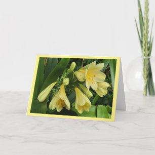 Gelbe Clivea-Blüten mit gelber Randkarte Karte