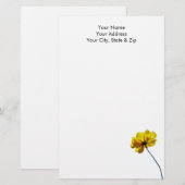 Gelbe Coreopsis Briefpapier (Vorne/Hinten)