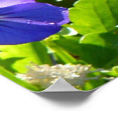 Gelbe Coreopsis und Lila Violas farbenfrohe Blüte Poster (Ecke)