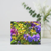 Gelbe Coreopsis und Lila Violas farbenfrohe Blüte Postkarte (Stehend Vorderseite)