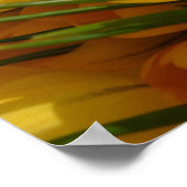 Gelbe Crocus flavus - Goldene gelbe Blumen Poster (Ecke)
