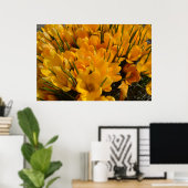 Gelbe Crocus flavus - Goldene gelbe Blumen Poster (Heimbüro)