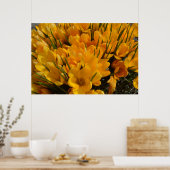 Gelbe Crocus flavus - Goldene gelbe Blumen Poster (Küche)