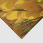 Gelbe Crocus flavus - Goldene gelbe Blumen Seidenpapier (Detail)