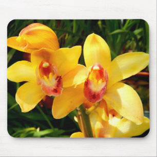 Gelbe Cymbidium Orchidee Mousepad