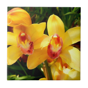 Gelbe Cymbidium-Orchideen-Keramik-Fliese Fliese