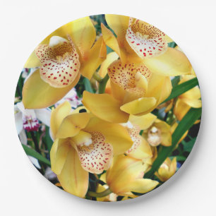 Gelbe Cymbidium-Orchideen Pappteller