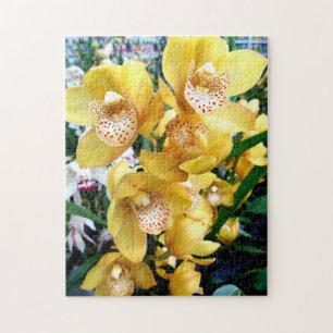 Gelbe Cymbidium-Orchideen Puzzle
