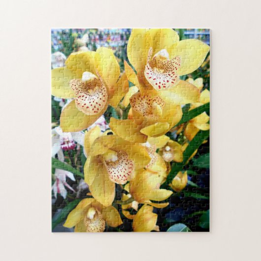 Gelbe Cymbidium-Orchideen Puzzle (Vertikal)