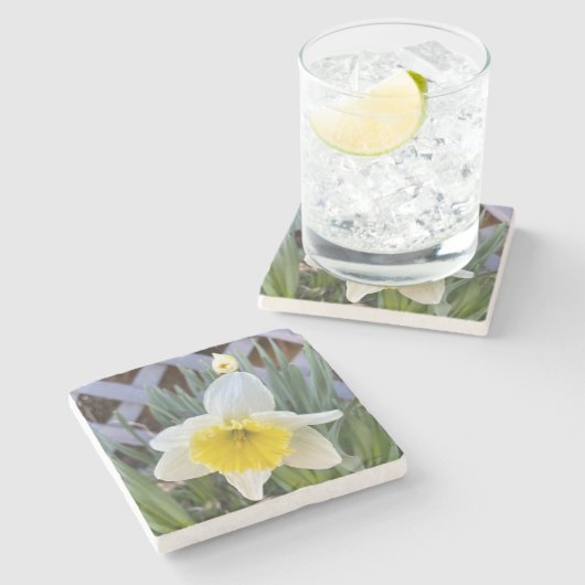 Gelbe Daffodien#1 Steinuntersetzer (Seitenansicht)