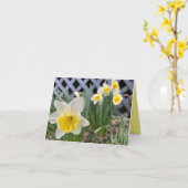 Gelbe Daffodien #3 Karte (Gelbe Blume)