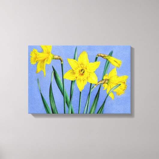 Gelbe Daffodien auf blauem Wrapper der Leinwand (Vorderseite)