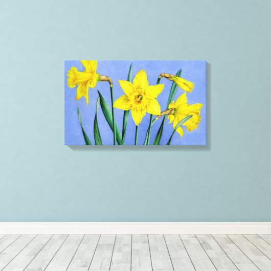 Gelbe Daffodien auf blauem Wrapper der Leinwand (Insitu (Holzboden))