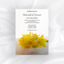 Gelbe Daffodien auf der Hochzeit des weißen Frühli