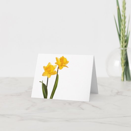 Gelbe Daffodien auf Weiß - Daffodil Blume Leere Karte (Vorderseite)