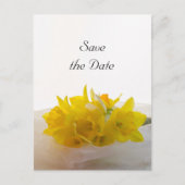 Gelbe Daffodien auf weißer Hochzeit speichern das  Ankündigungspostkarte (Vorderseite)