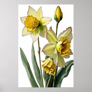 Gelbe Daffodien Blume Art Print Poster