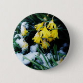 Gelbe Daffodien Blume im Schnee Button (Vorderseite)