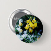 Gelbe Daffodien Blume im Schnee Button (Vorne & Hinten)
