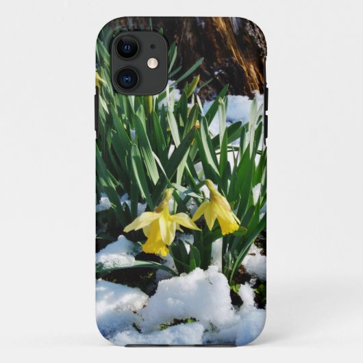 Gelbe Daffodien Blume im Schnee Case-Mate iPhone Hülle (Rückseite)