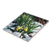 Gelbe Daffodien Blume im Schnee Fliese (Seite)