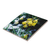Gelbe Daffodien Blume im Schnee Fliese (Seite)