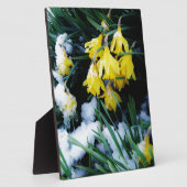 Gelbe Daffodien Blume im Schnee Fotoplatte (Seite)