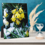 Gelbe Daffodien Blume im Schnee Fotoplatte (Seite)