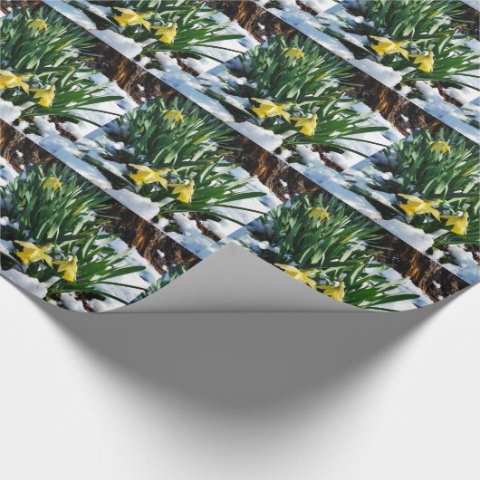 Gelbe Daffodien Blume im Schnee Geschenkpapier (Ecke)