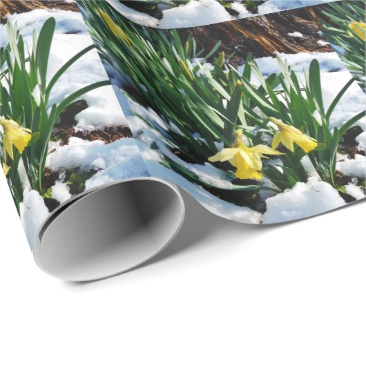 Gelbe Daffodien Blume im Schnee Geschenkpapier (Rolleneckpunkt)