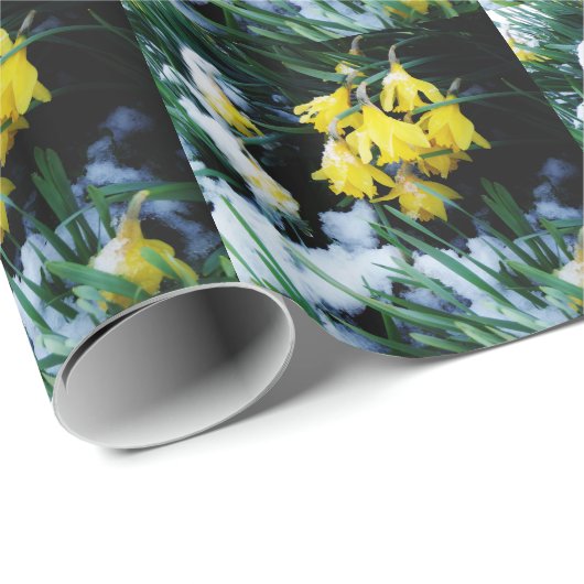 Gelbe Daffodien Blume im Schnee Geschenkpapier (Rolleneckpunkt)