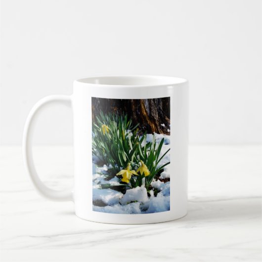 Gelbe Daffodien Blume im Schnee Kaffeetasse (Links)