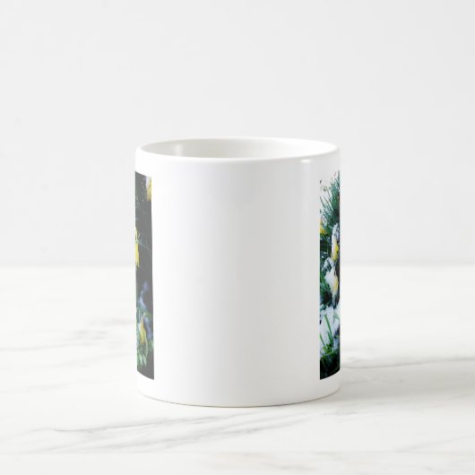 Gelbe Daffodien Blume im Schnee Kaffeetasse (Mittel)