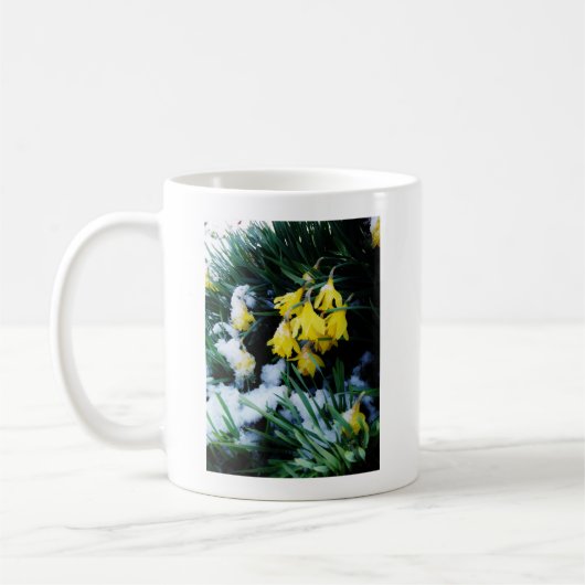 Gelbe Daffodien Blume im Schnee Kaffeetasse (Links)