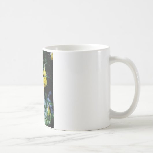 Gelbe Daffodien Blume im Schnee Kaffeetasse (Rechts)