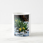 Gelbe Daffodien Blume im Schnee Kaffeetasse (Mittel)