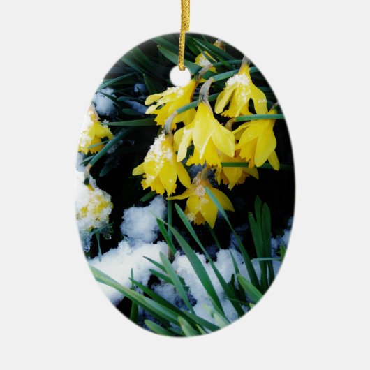 Gelbe Daffodien Blume im Schnee Keramik Ornament (Vorne)