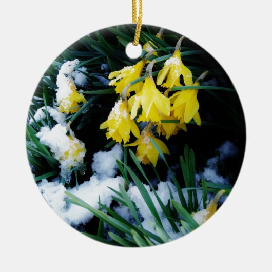 Gelbe Daffodien Blume im Schnee Keramikornament (Vorne)