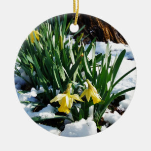 Gelbe Daffodien Blume im Schnee Keramikornament