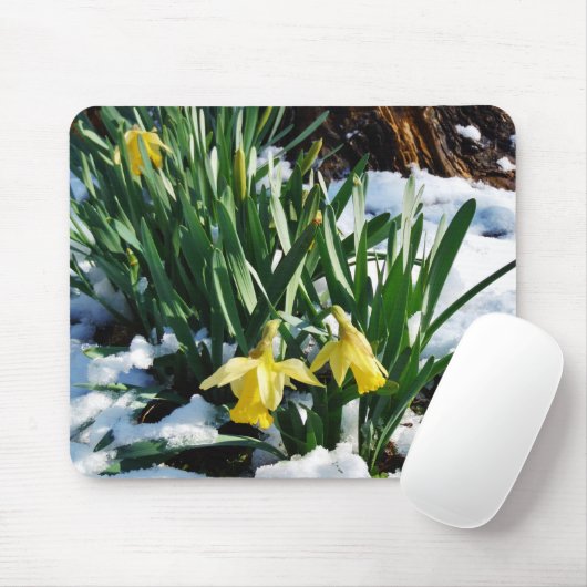 Gelbe Daffodien Blume im Schnee Mousepad (Mit Mouse)