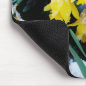Gelbe Daffodien Blume im Schnee Mousepad (Ecke)