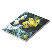 Gelbe Daffodien Blume im Schnee Notizblock (Rotiert)