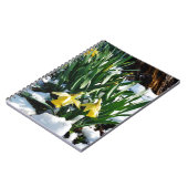 Gelbe Daffodien Blume im Schnee Notizblock (Linke Seite)