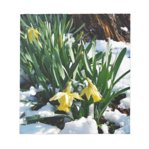 Gelbe Daffodien Blume im Schnee Notizblock