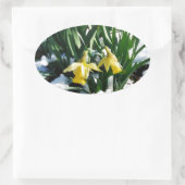 Gelbe Daffodien Blume im Schnee Ovaler Aufkleber (Tasche)