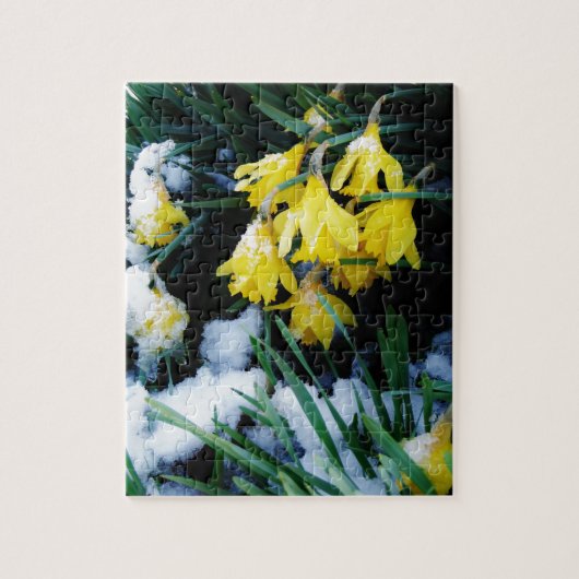 Gelbe Daffodien Blume im Schnee Puzzle (Vertikal)